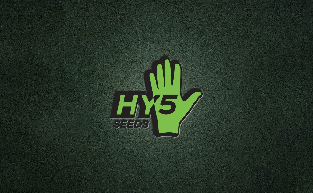 HY5Seeds Brand Design